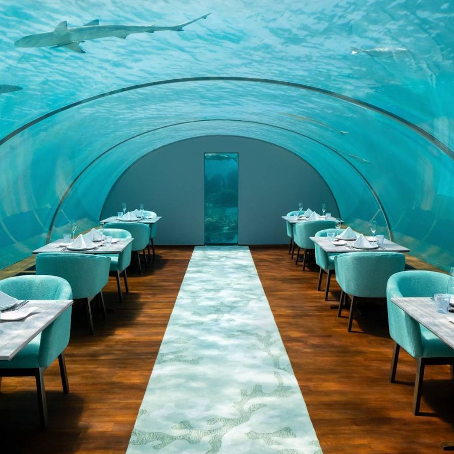 The World’s Best Underwater Restaurants To Tick Off Your Bucket List