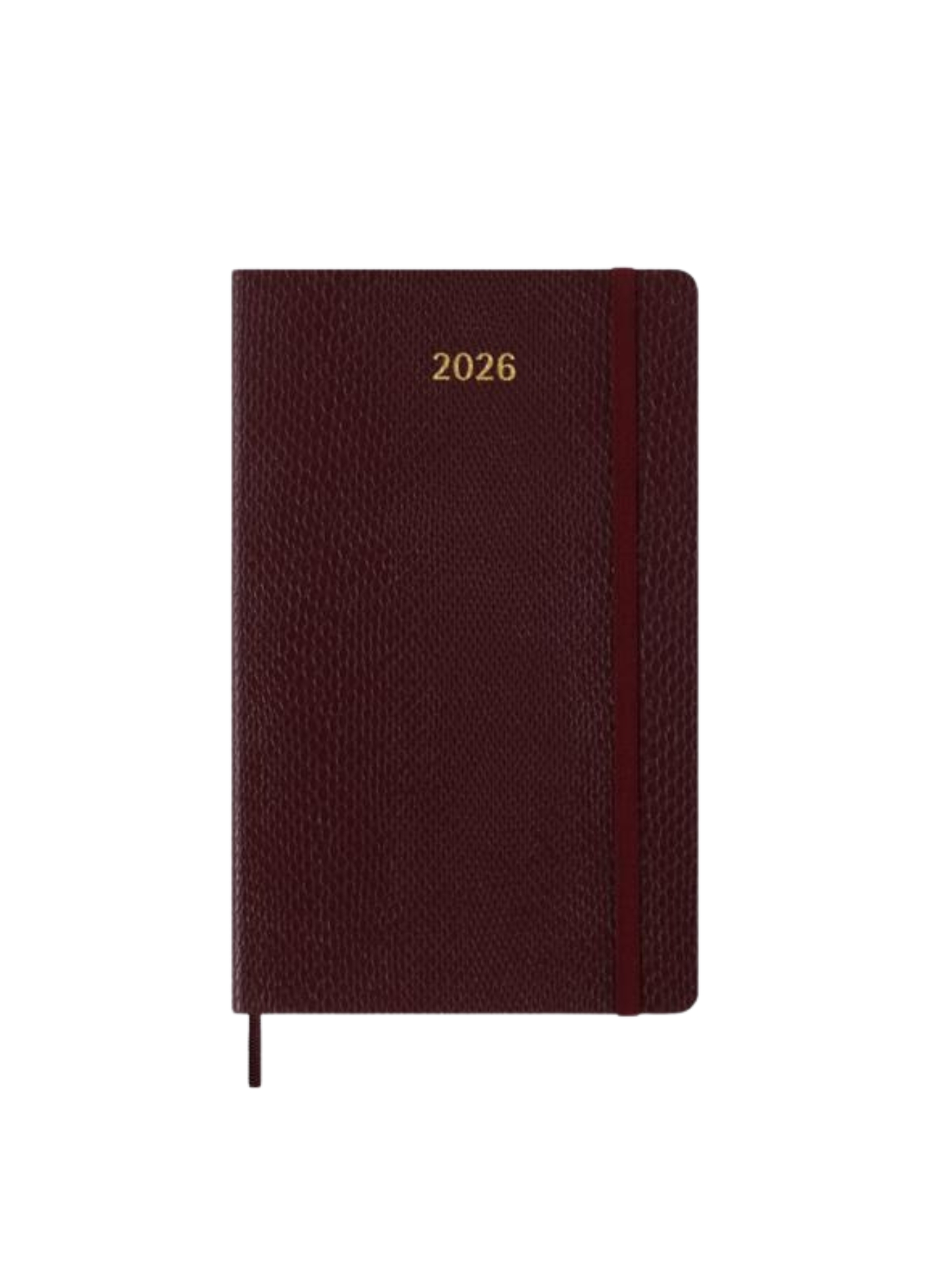 Vegea Python 2026 Diary