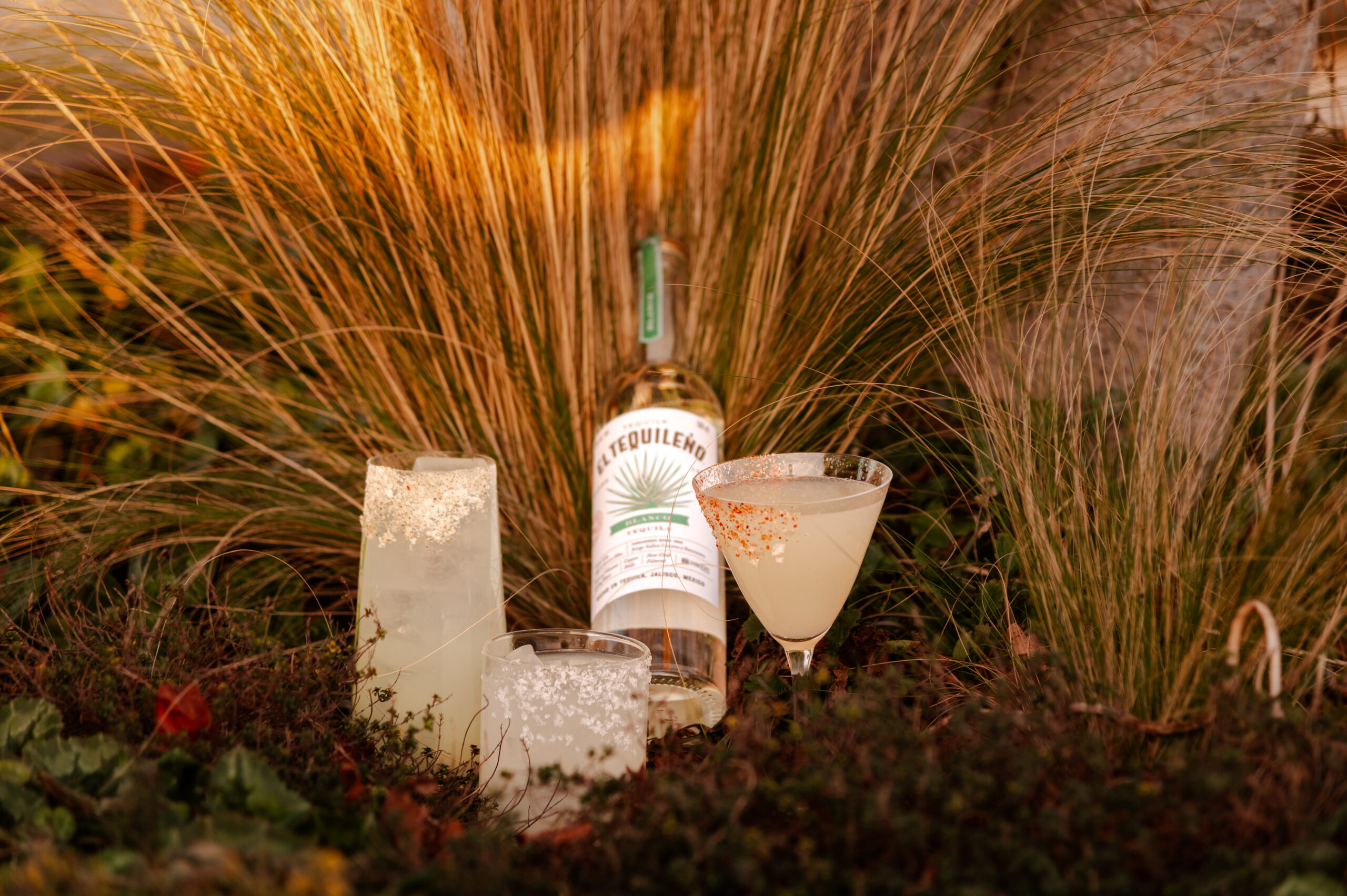 A bottle of Tequileno tequila and two margarita mile-worthy cocktails with salted rims are placed on the ground among tall grass and greenery, warmly lit by sunlight.
