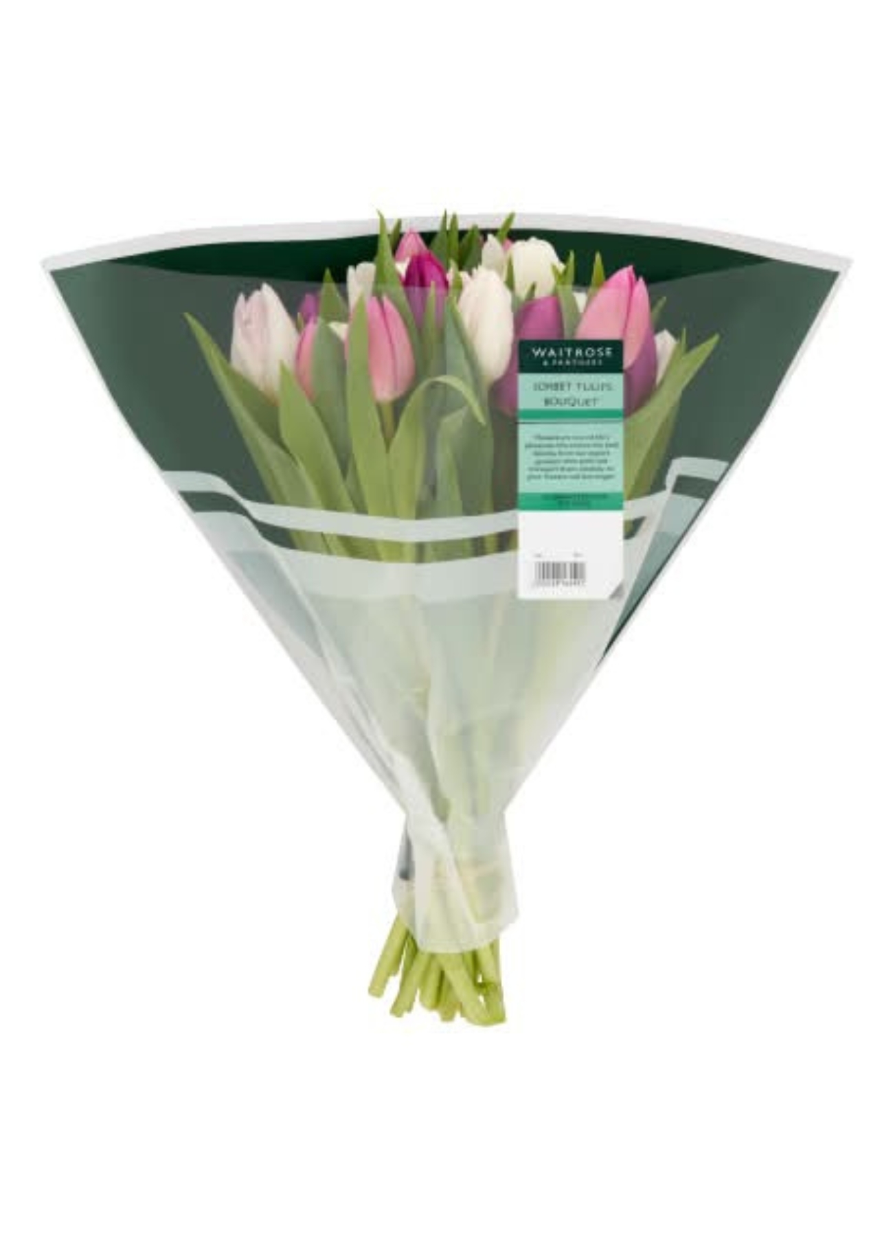 Sorbet Tulip Bouquet