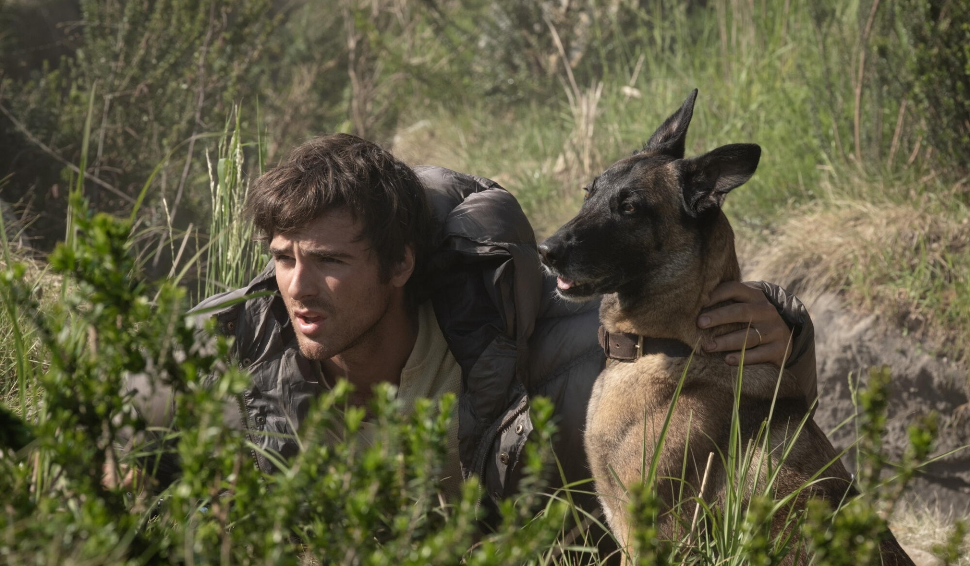 Is Jacob Elordi And Margaret Qualley's New Thriller, The Dog Stars, Worth Seeing?