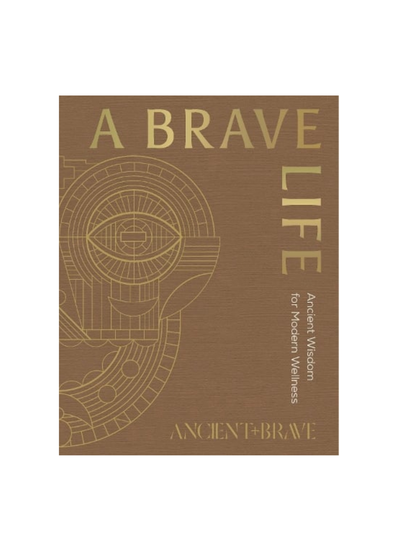A Brave Life